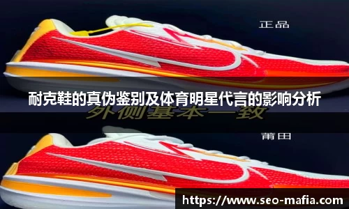 JJB竞技宝官网