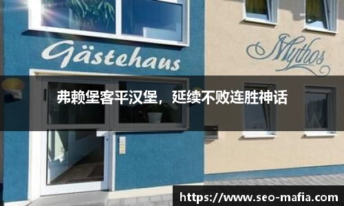 弗赖堡客平汉堡，延续不败连胜神话